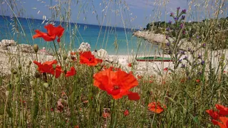 Beach Rtić