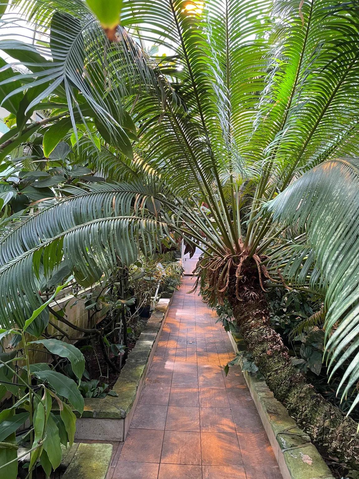 Ogród Botaniczny Uniwersytetu Warszawskiego