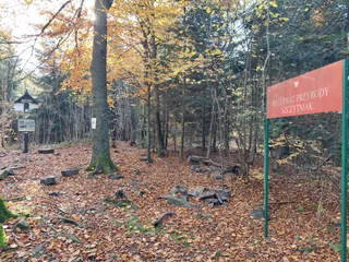 Szczytniak