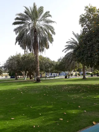 حديقة البصرة
