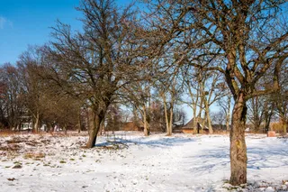 Park zamkowy
