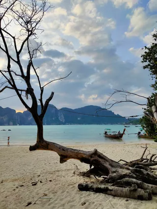 Viking Beach
