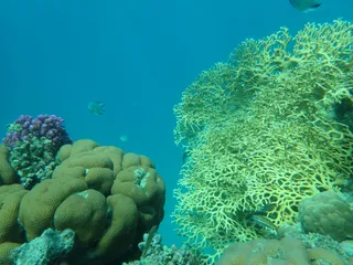 Marsa Alam lagune