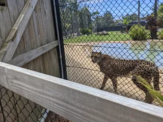 Symbio Wildlife Park