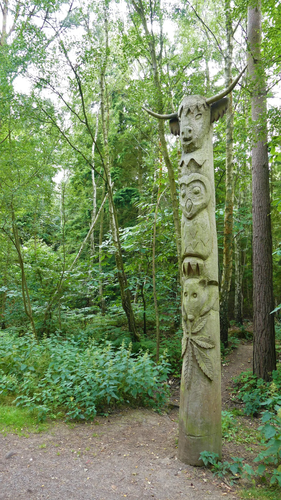 The Wildart Trail