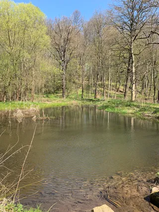 Zschonergrund