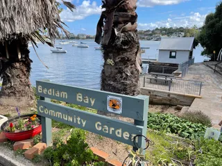 Parramatta River Regional Park