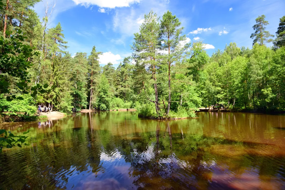 Stausee Dresdner Heide