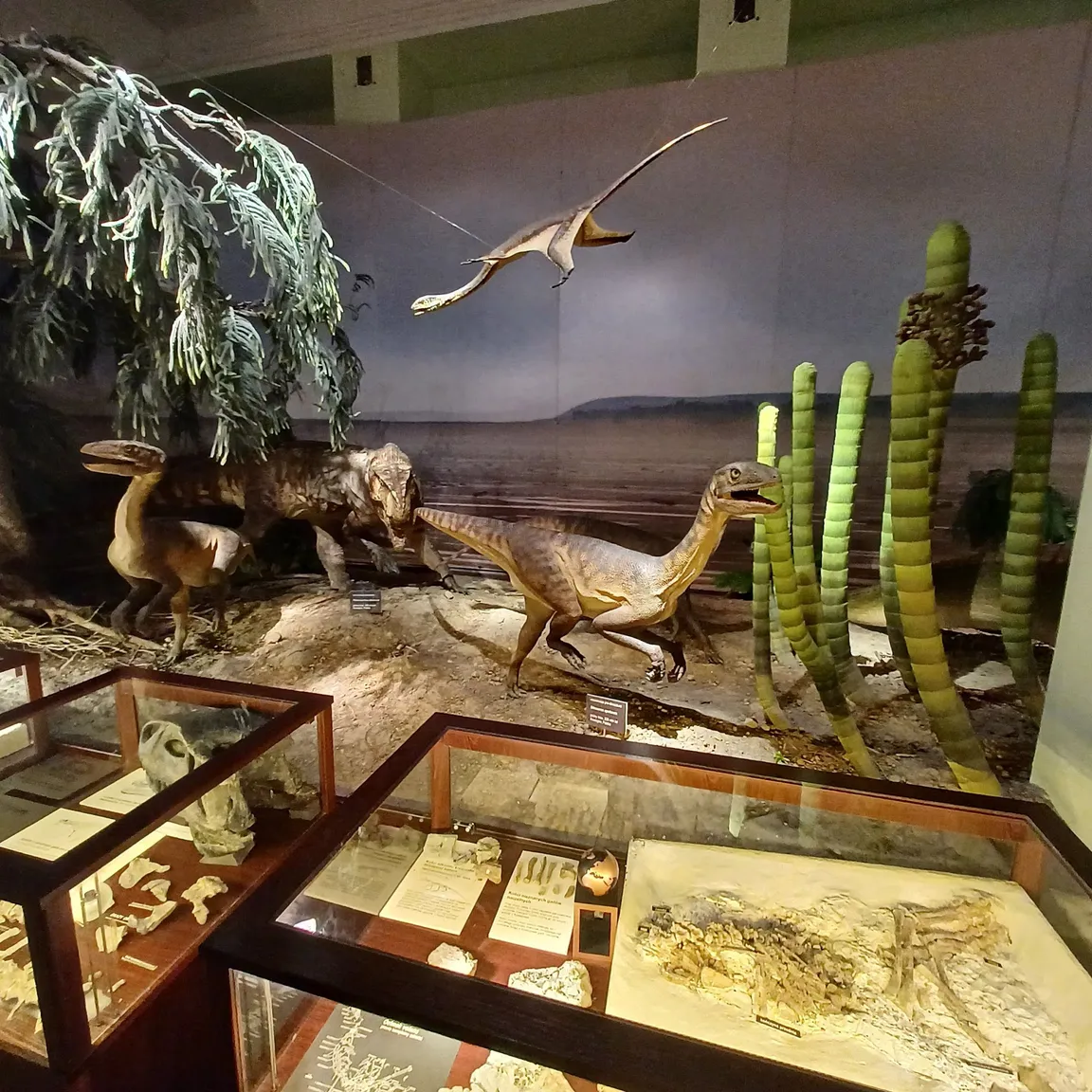 Muzeum Ewolucji w PKiN