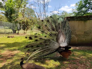 Animal Park of Gramat