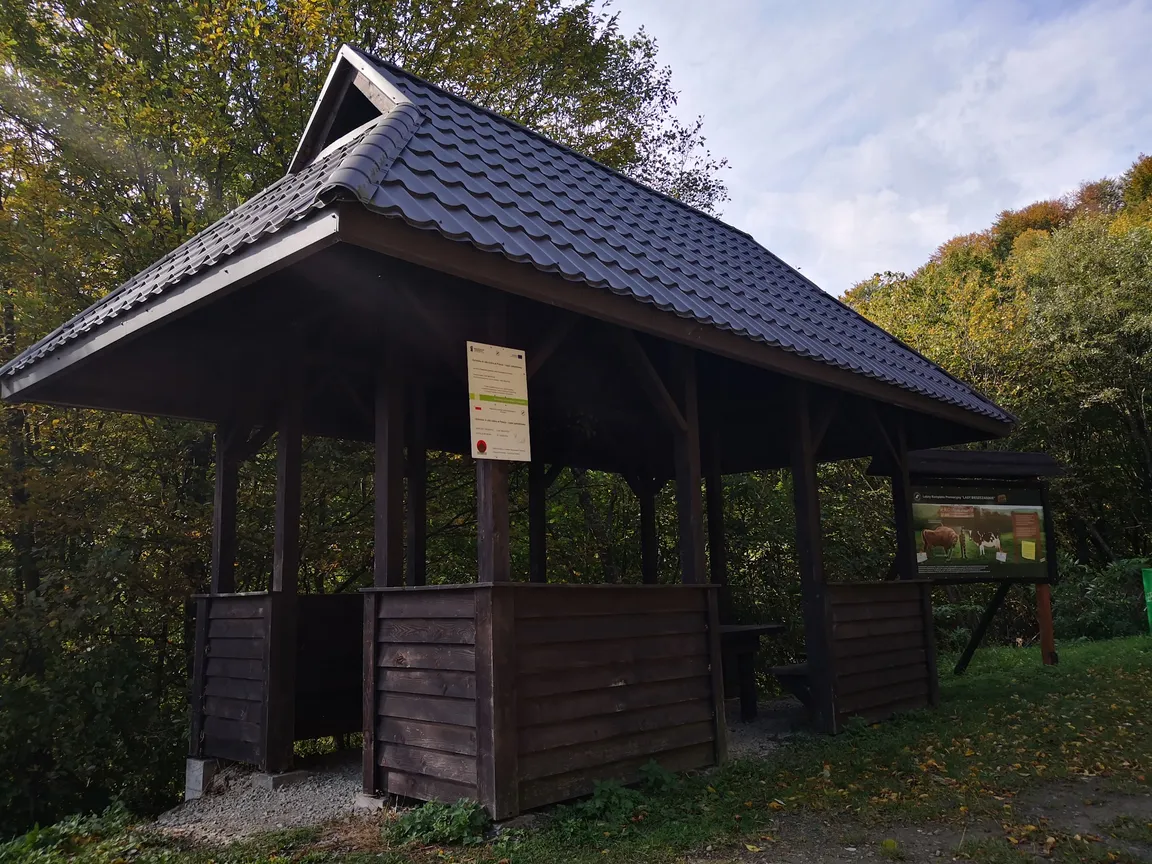 Trasa widokowa z wiatą Tworylne