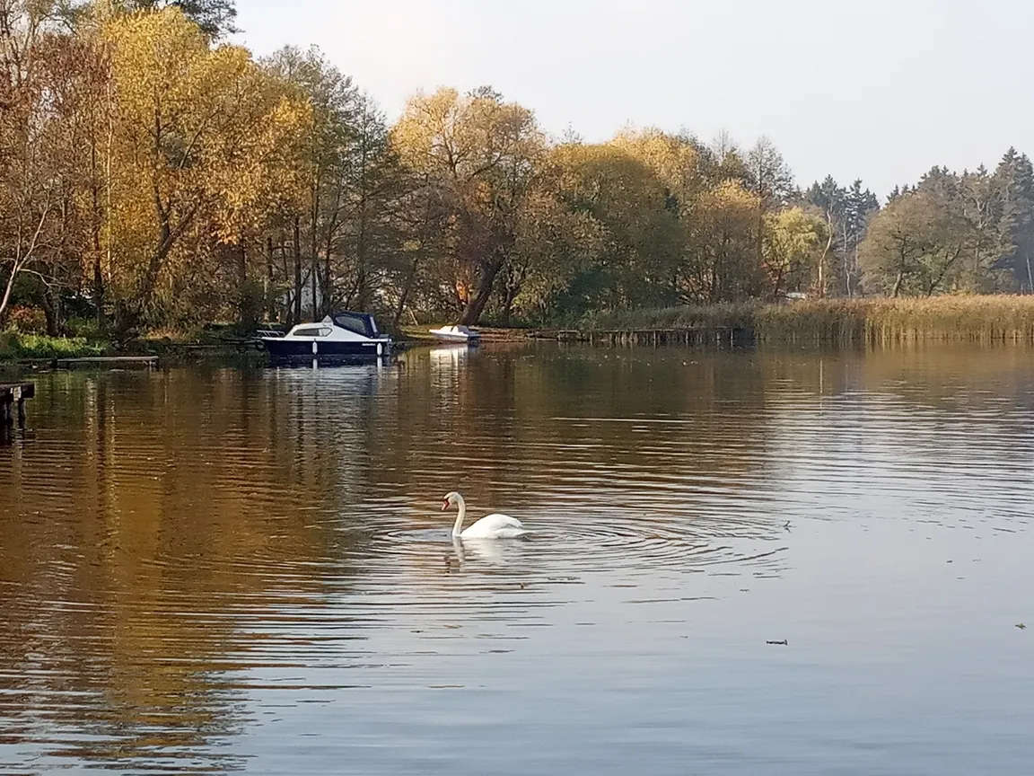 Jezioro Jagodne