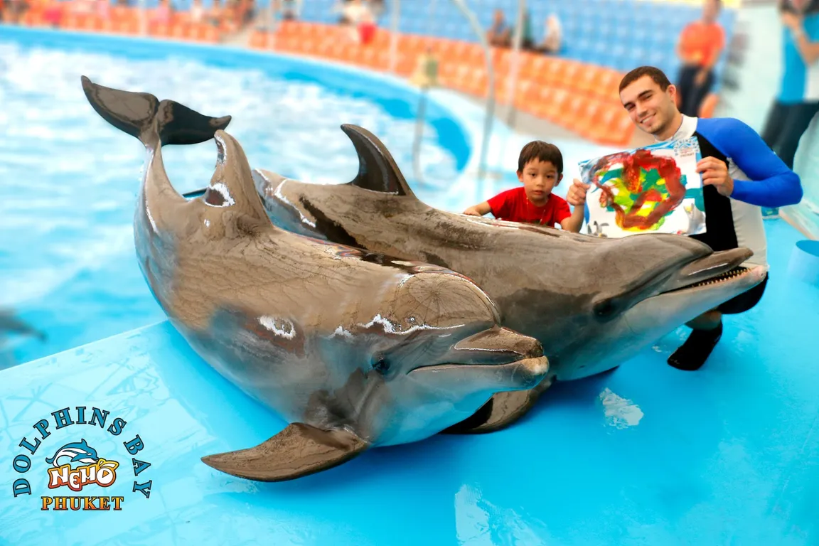 Dolphins Bay Phuket