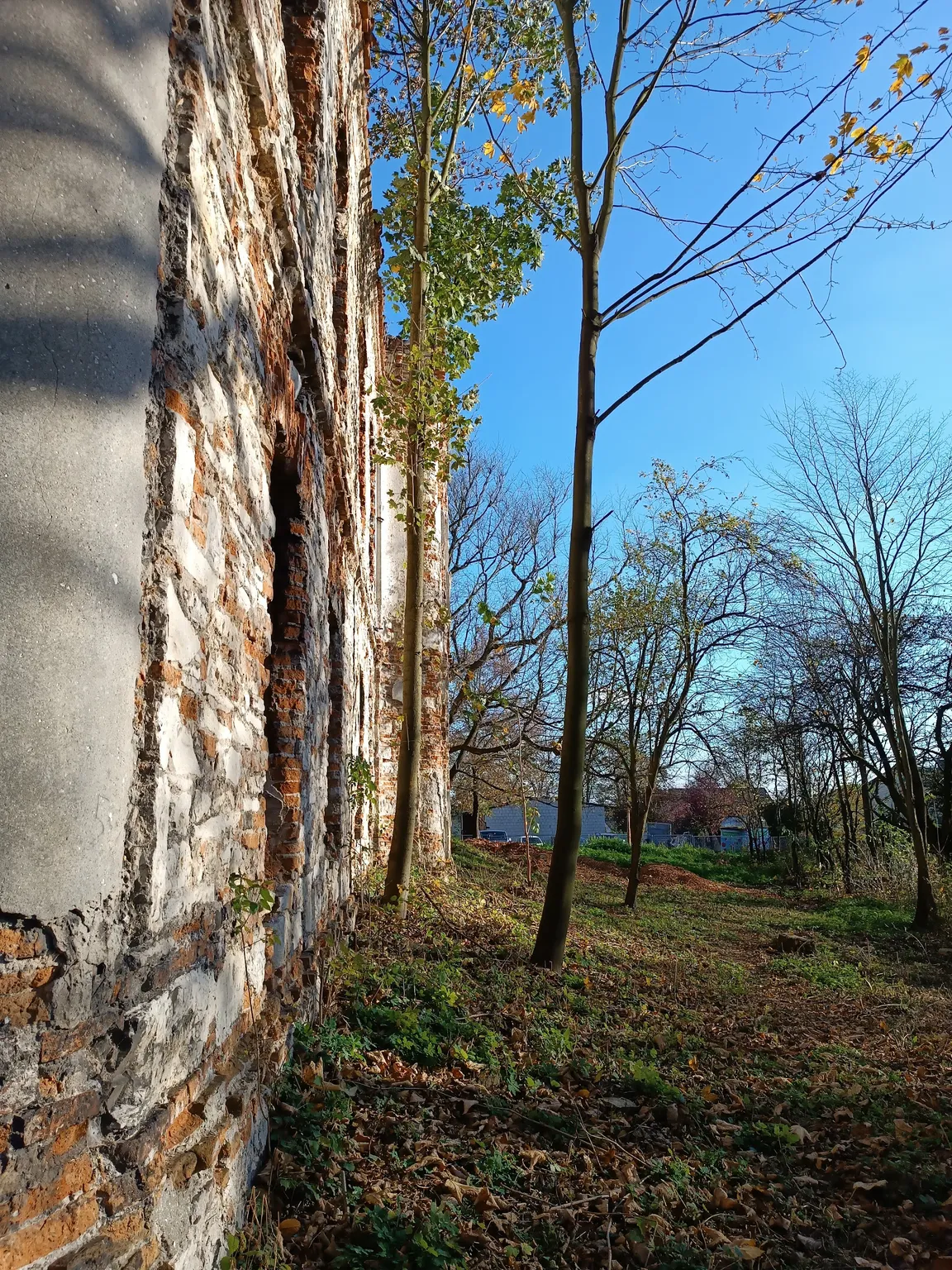 Ruiny pałacu we Włodowicach