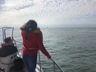 Isla Todos Santos