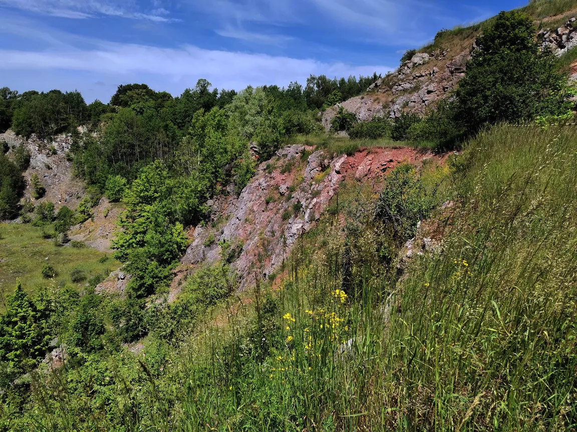 Rezerwat Przyrody Wietrznia im. Zbigniewa Rubinowskiego