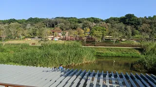 Dasha River