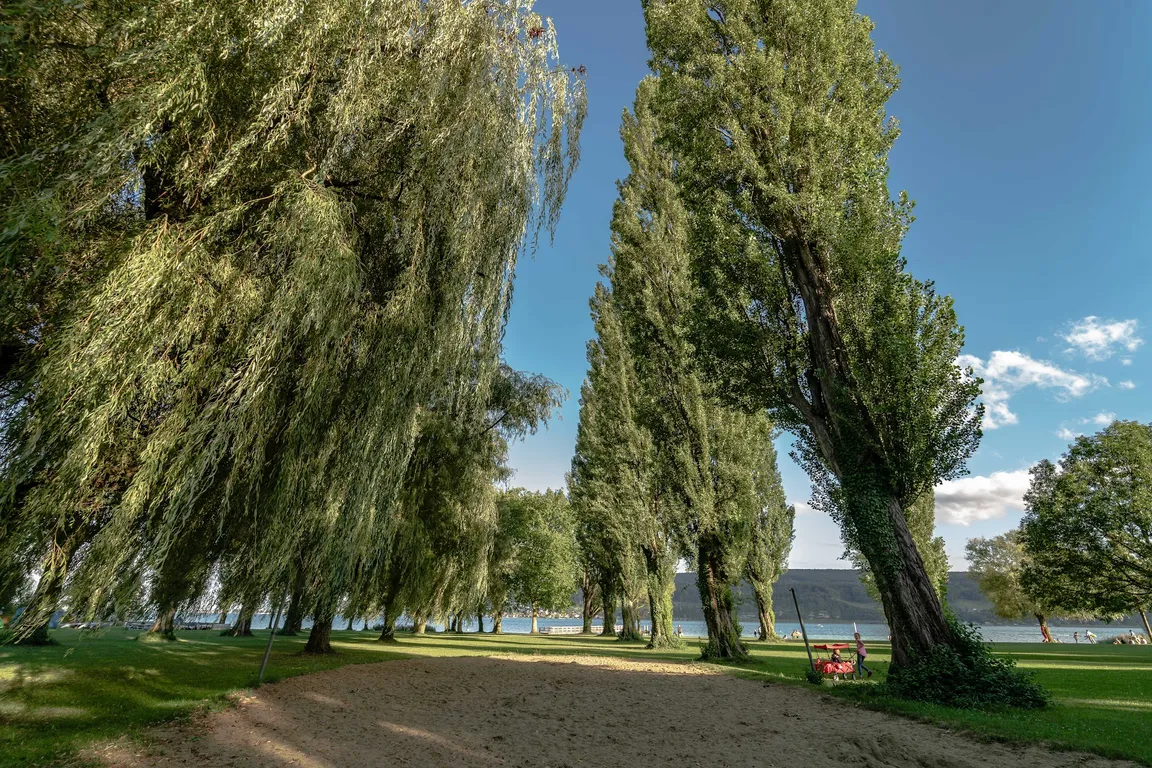 Campingplatz Horn