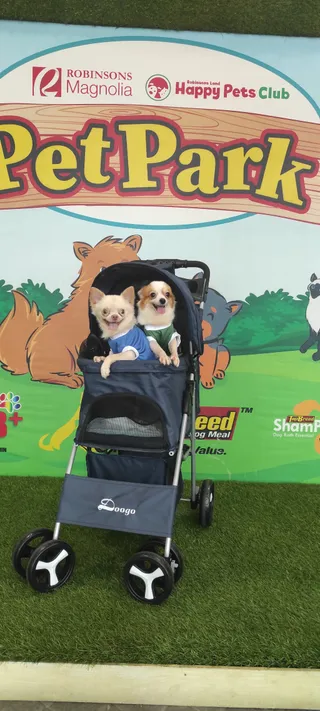 Pet Park at Robinsons Magnolia