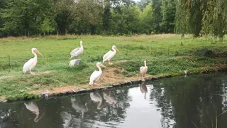Zoo Opole
