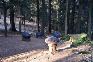 Pot močvirskih škratov na Mali plac