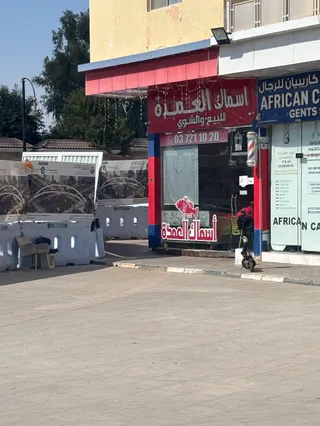 اسماك العمدة