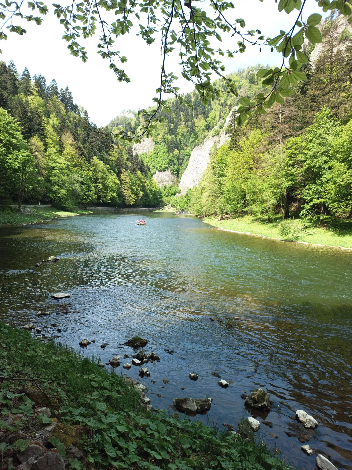 Ścieżka pieszo-rowerowa Przełomem Dunajca (Szczawnica - Czerwony Klasztor)