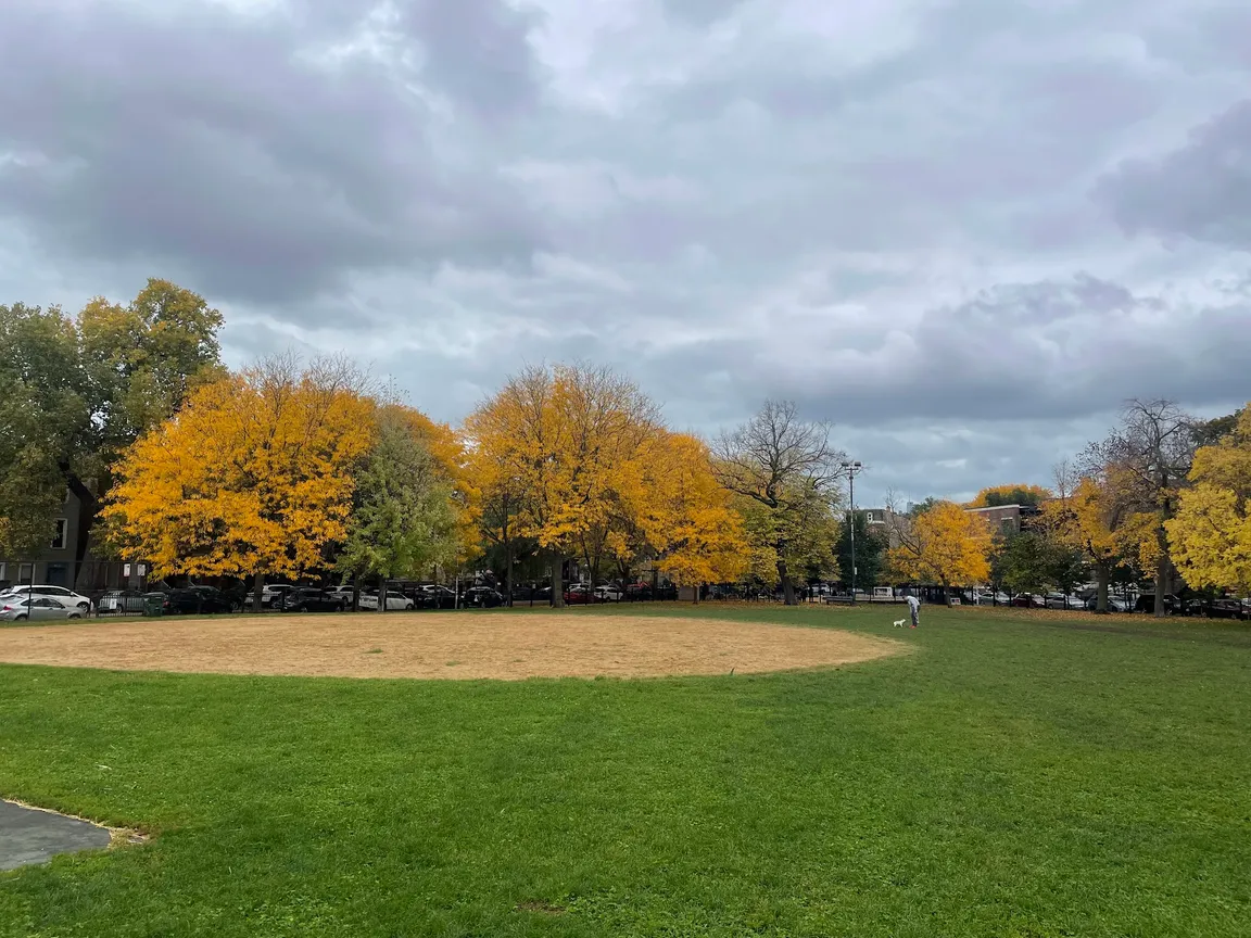 Wicker (Charles, Joel) Park