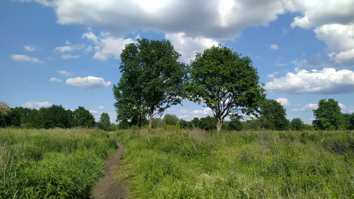 Park Pokoleń