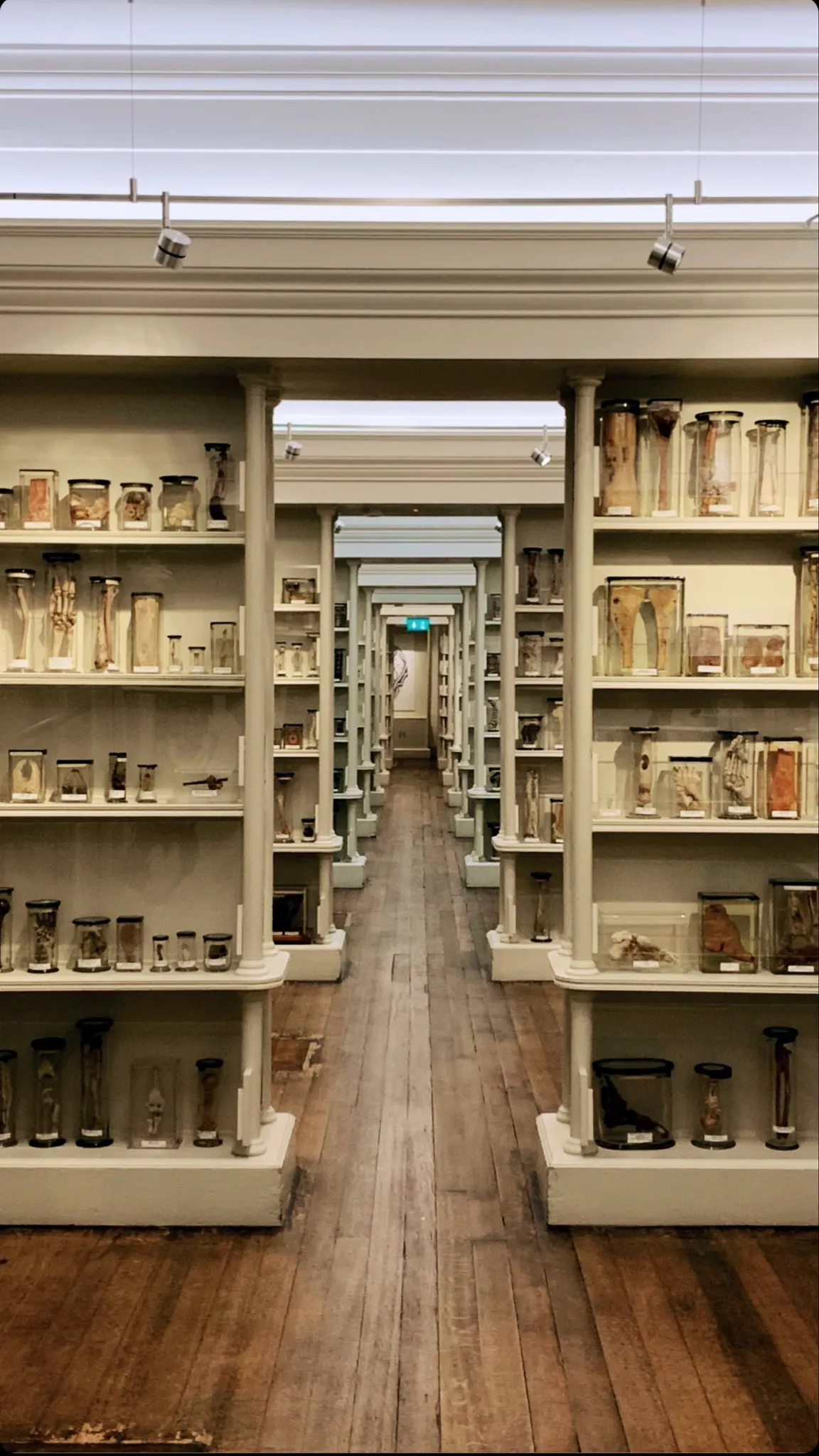 Surgeons' Hall Museums