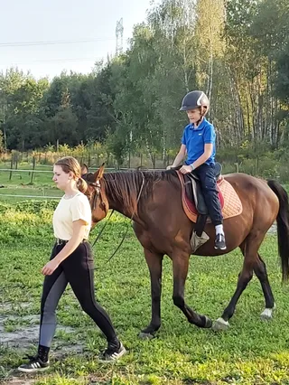 Milusin. Stajnia