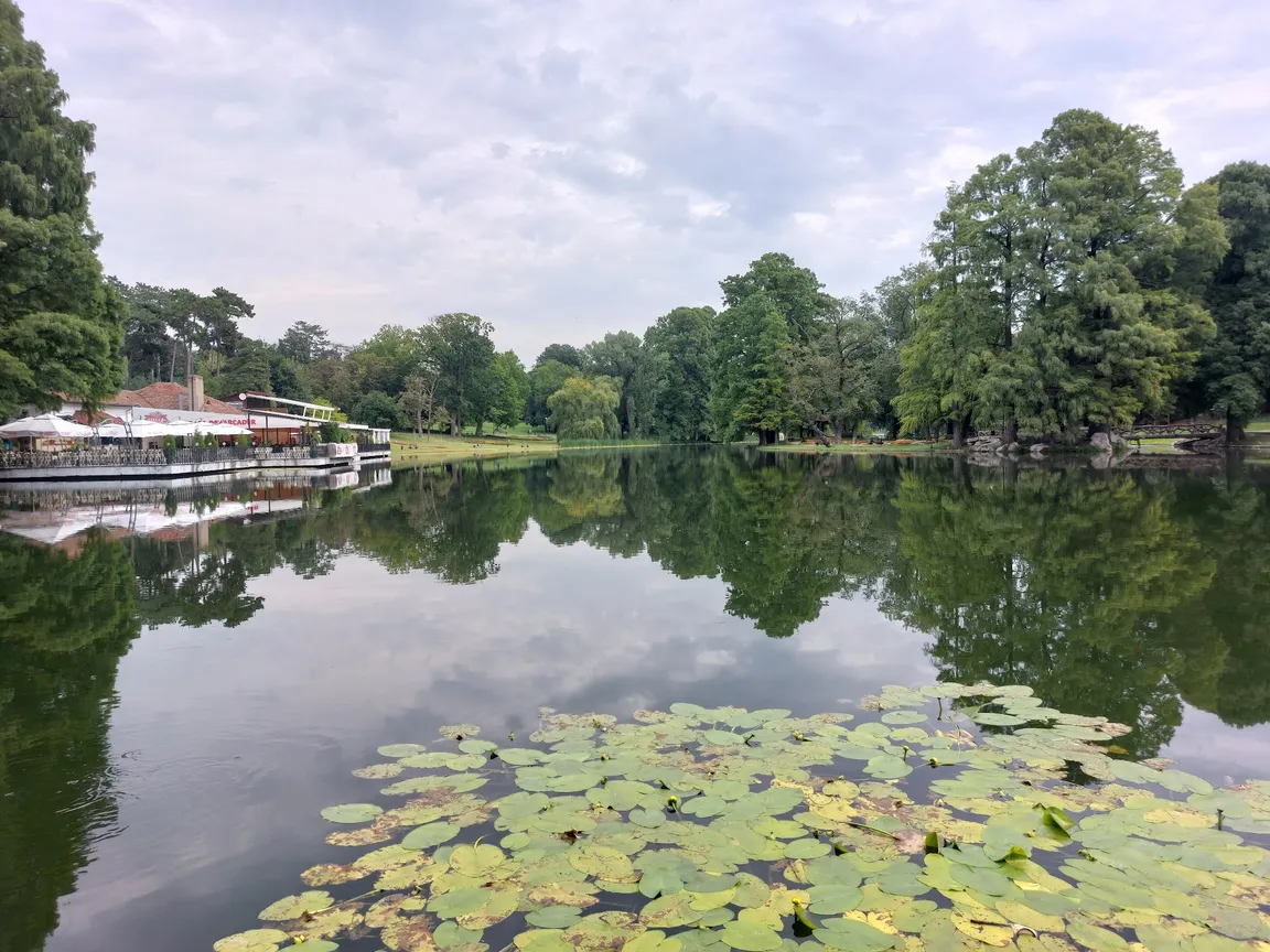 Nicolae Romanescu Park
