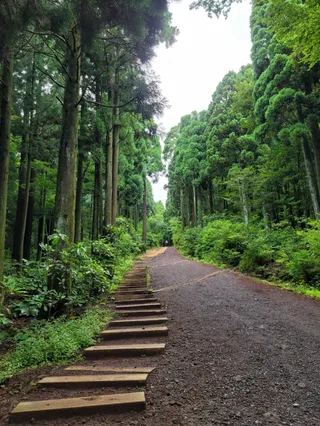 Seogwipo Forest of Healing