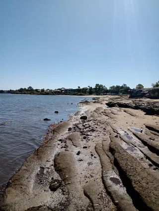 Rodd Park