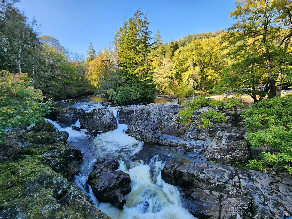 Gwydir Forest Park