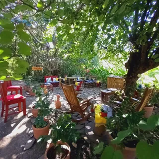 Hacienda Biológica Virginia