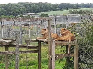 Noah's Ark Zoo Farm