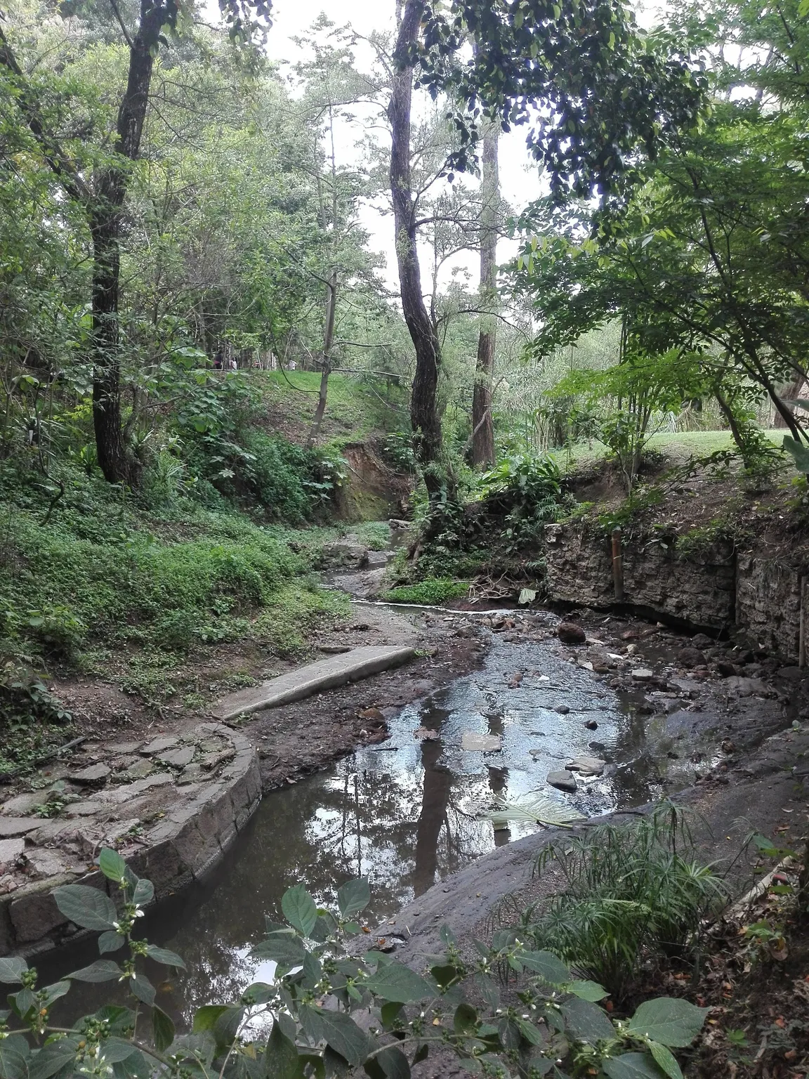 Parque Ecológico y Deportivo Cayalá