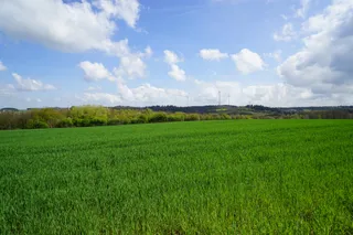 Schinderhannes-Radweg Pfalzfeld