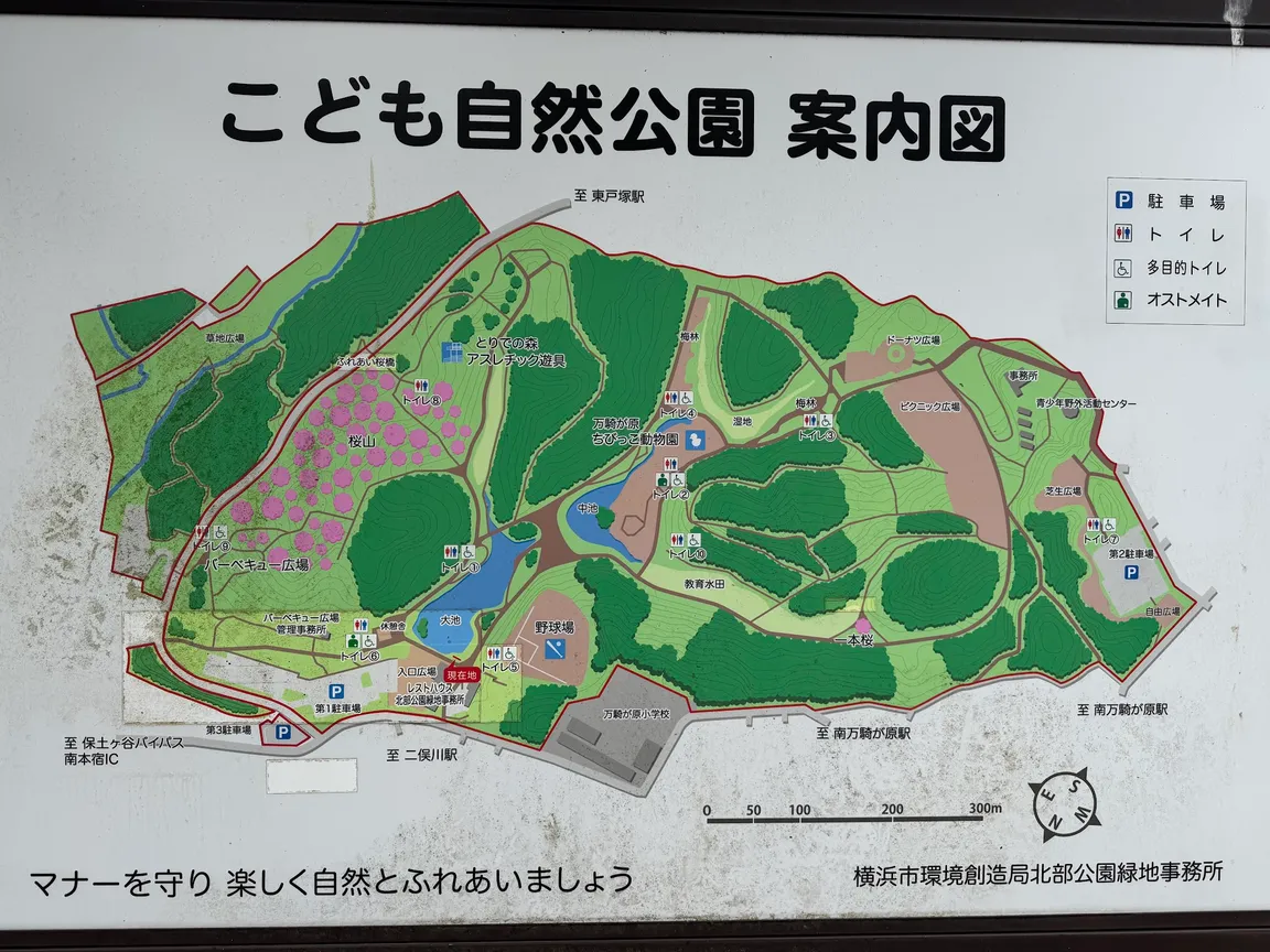 Children's Nature Park
