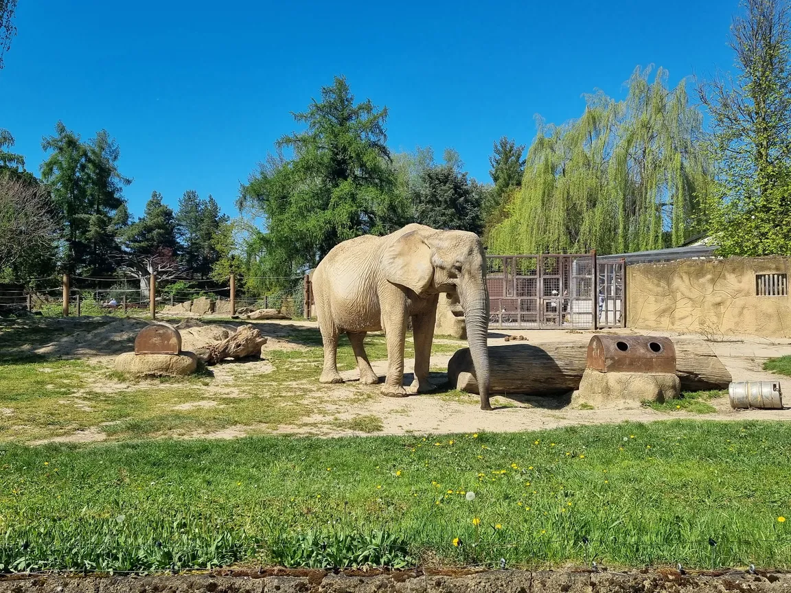 Dvůr Králové Zoo