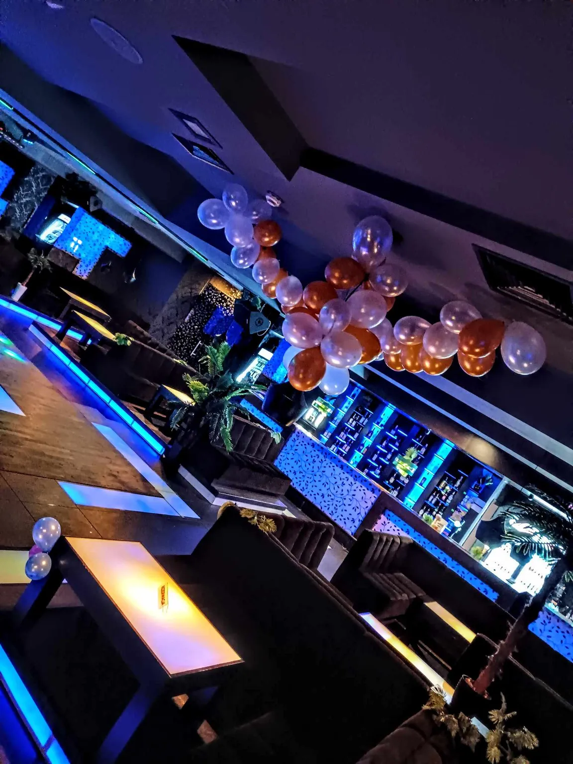 Cacao Music & Tropik