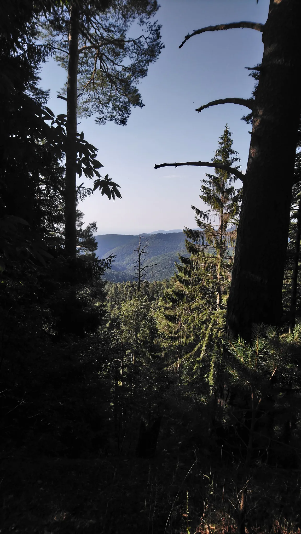 source des corbeaux