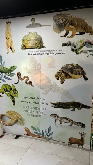 Fins & Tails Pets Oman