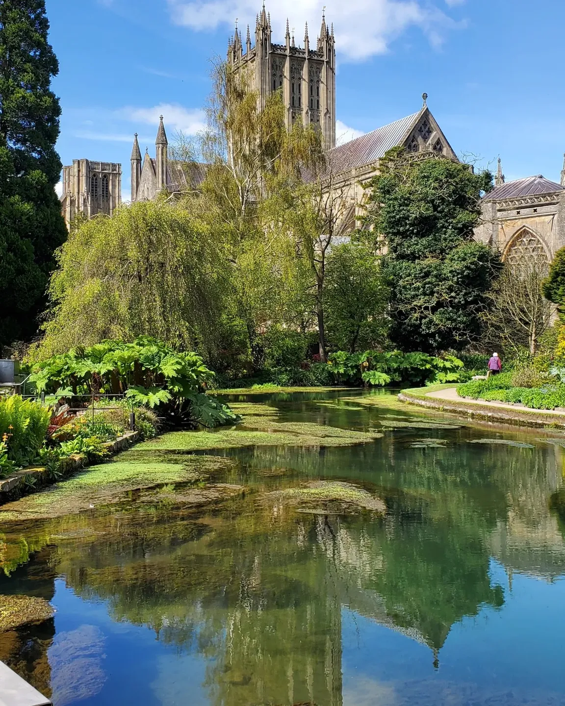 The Bishop's Palace & Gardens