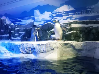 SEA LIFE Konstanz