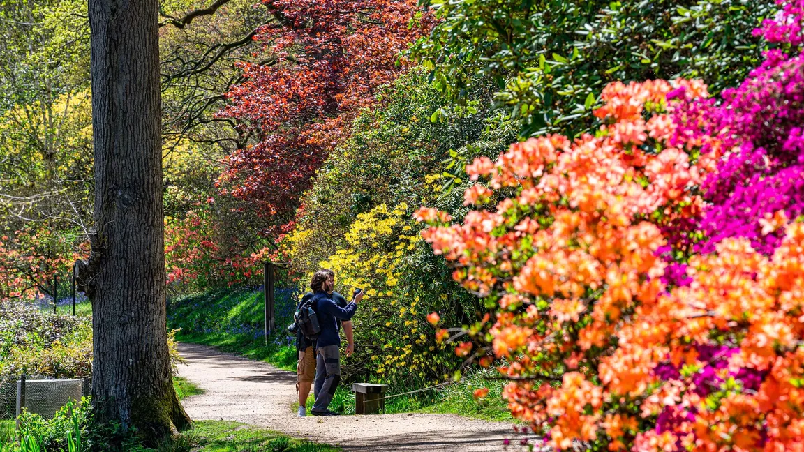 Leonardslee Lakes & Gardens