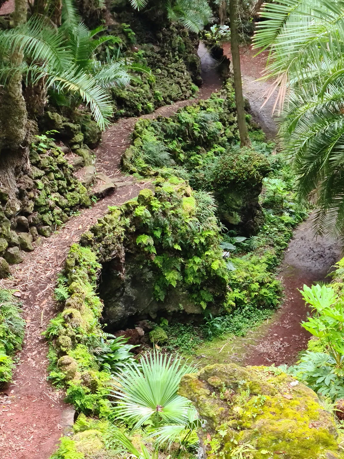 Jardim Botânico António Borges