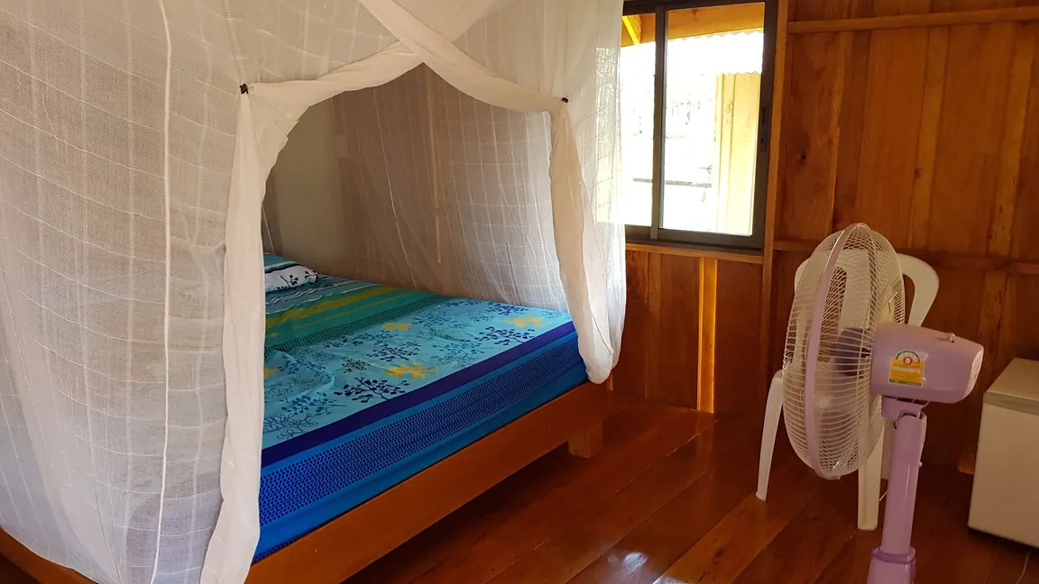 Friendly Koh Jum