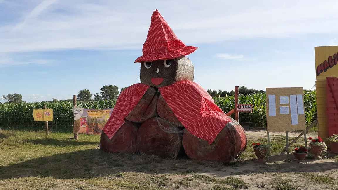 Magiczny Labirynt Rewal. Czarnoksiężnik kontratakuje w polu kukurydzy.